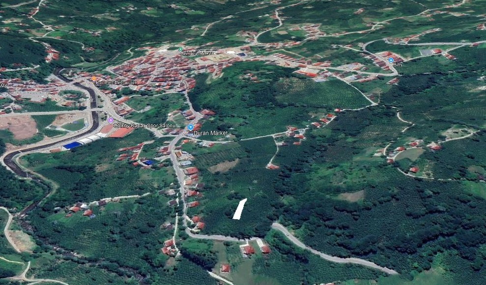 GÖLKÖY FINDIK BAHÇESİ 445 M2